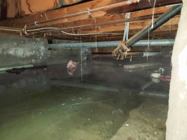 Best Fire Damage Restoration  in West Berlin, NJ