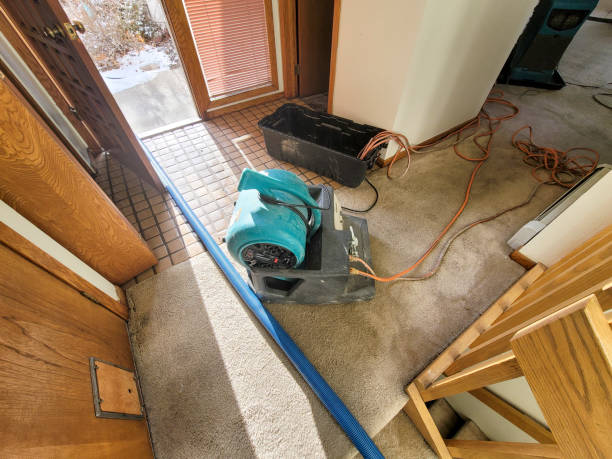 Best Water damage cleanup near me  in West Berlin, NJ