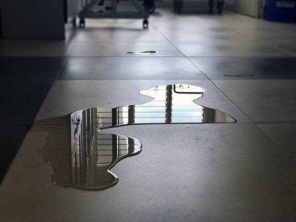 Best Water damage restoration services  in West Berlin, NJ